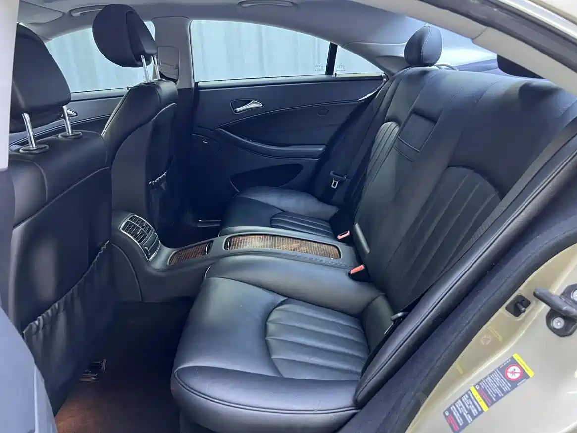 Mercedes-Benz CLS 2009 CLS 300 фото 17