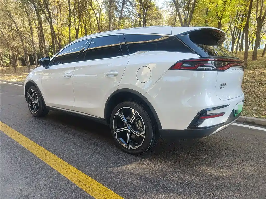 BYD Tang New Energy 2021 DM-i 112KM Honor фото 30