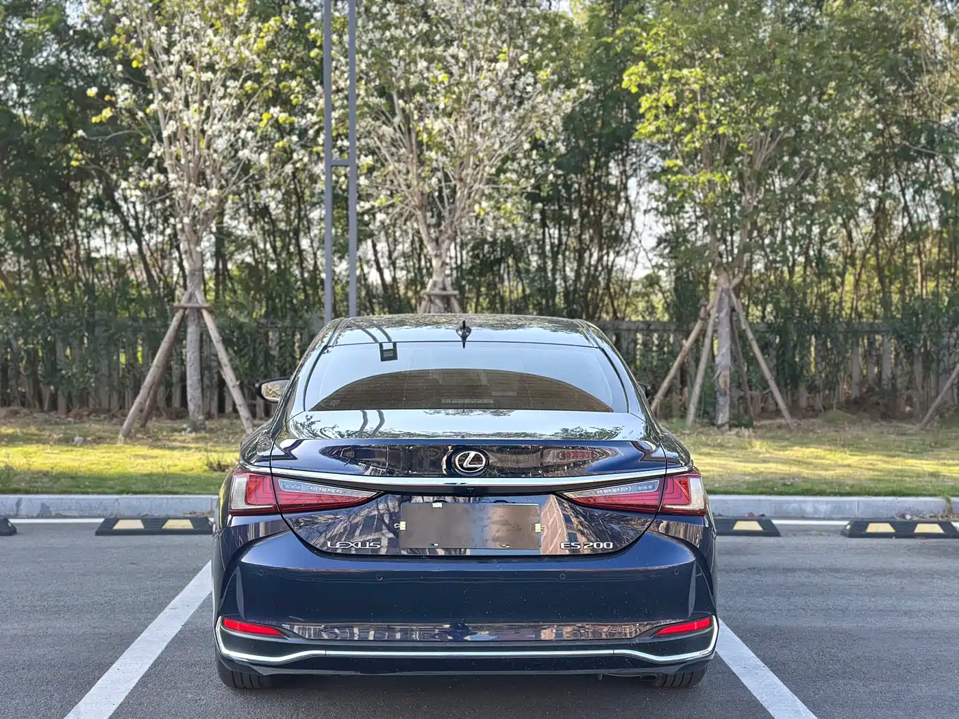 Lexus ES 2020 200 Excellence фото 10