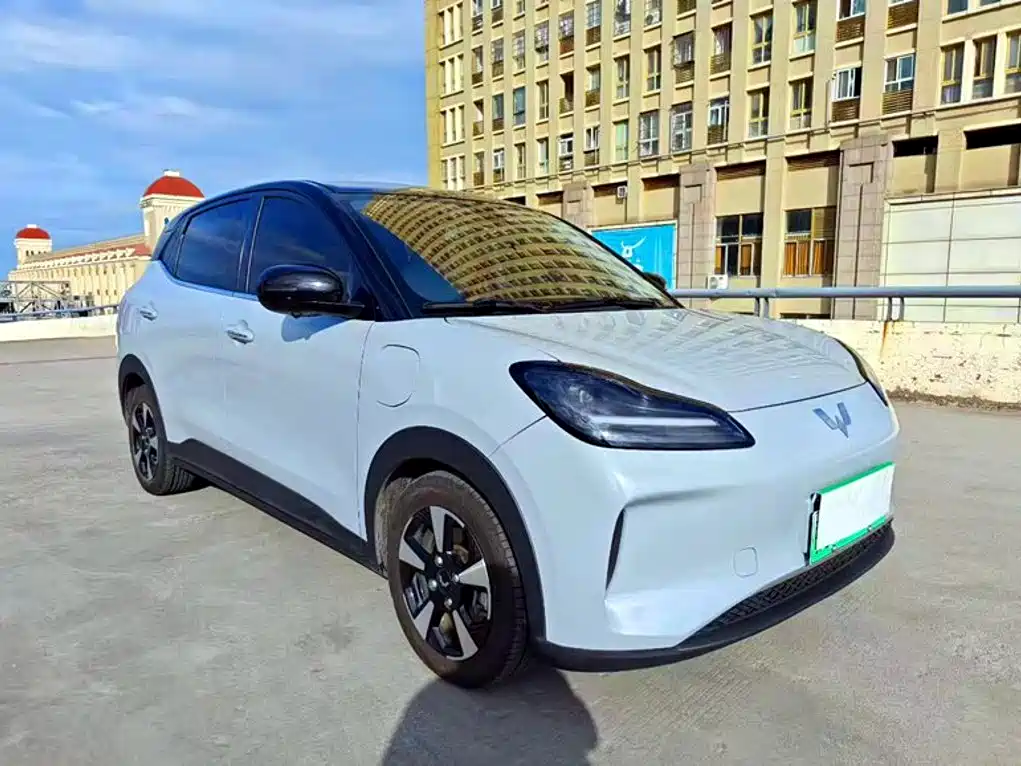 Wuling Motors Wuling Binguo PLUS 2024 2024 Model 510km Flagship Edition 4-Seater