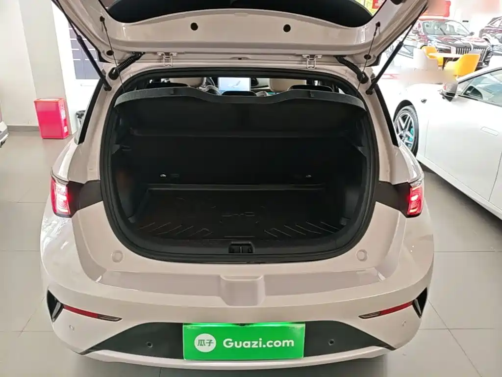 BYD Dolphin 2025 2025 Smart Drive Edition 410km Fashion Version