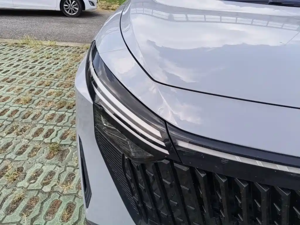 Venucia DaV DD-i 2023 2023 110km iE Edition