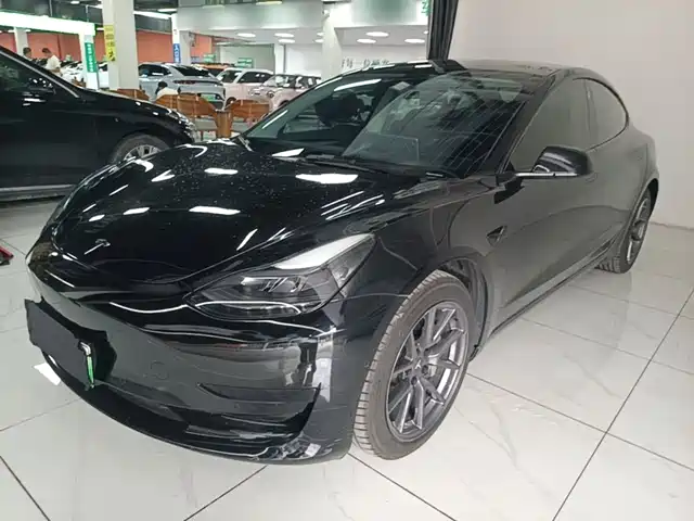 Tesla Model 3 Стандартный запас хода, задний привод, улучшенная, 3D6
