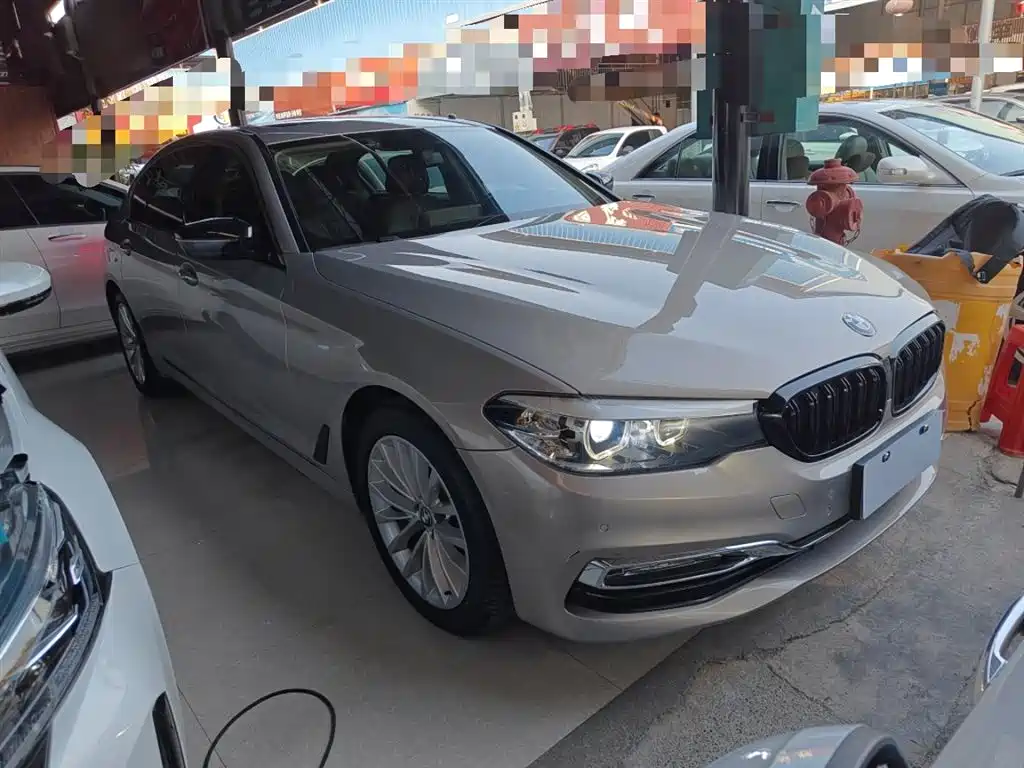 BMW 5 Series 2018 530Li Leading Luxury Package фото 20
