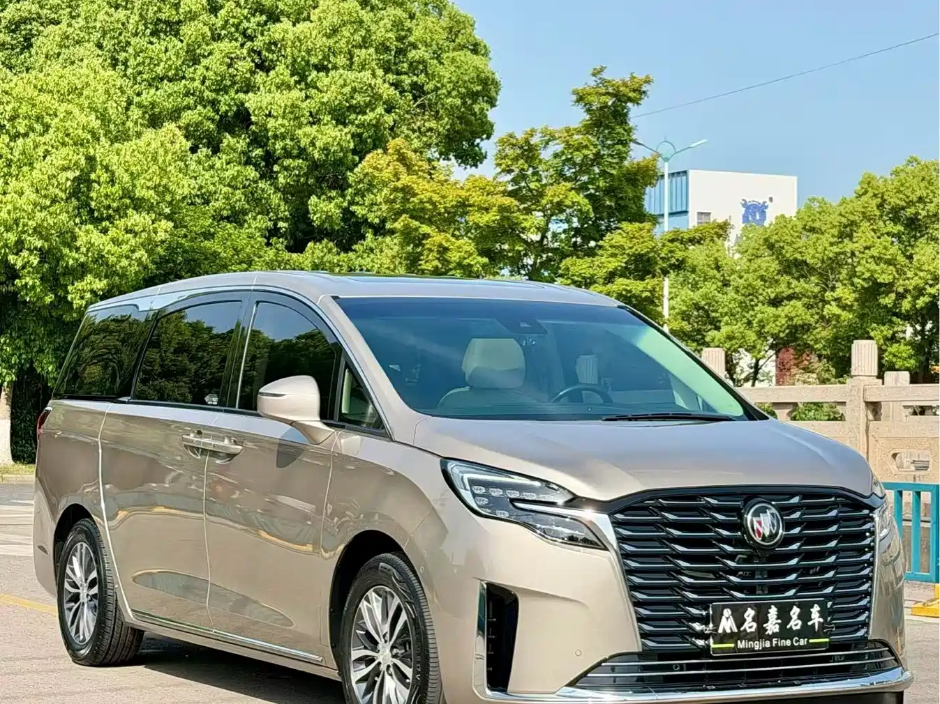 Buick GL8 2023 ES Landmaster Exclusive фото 3