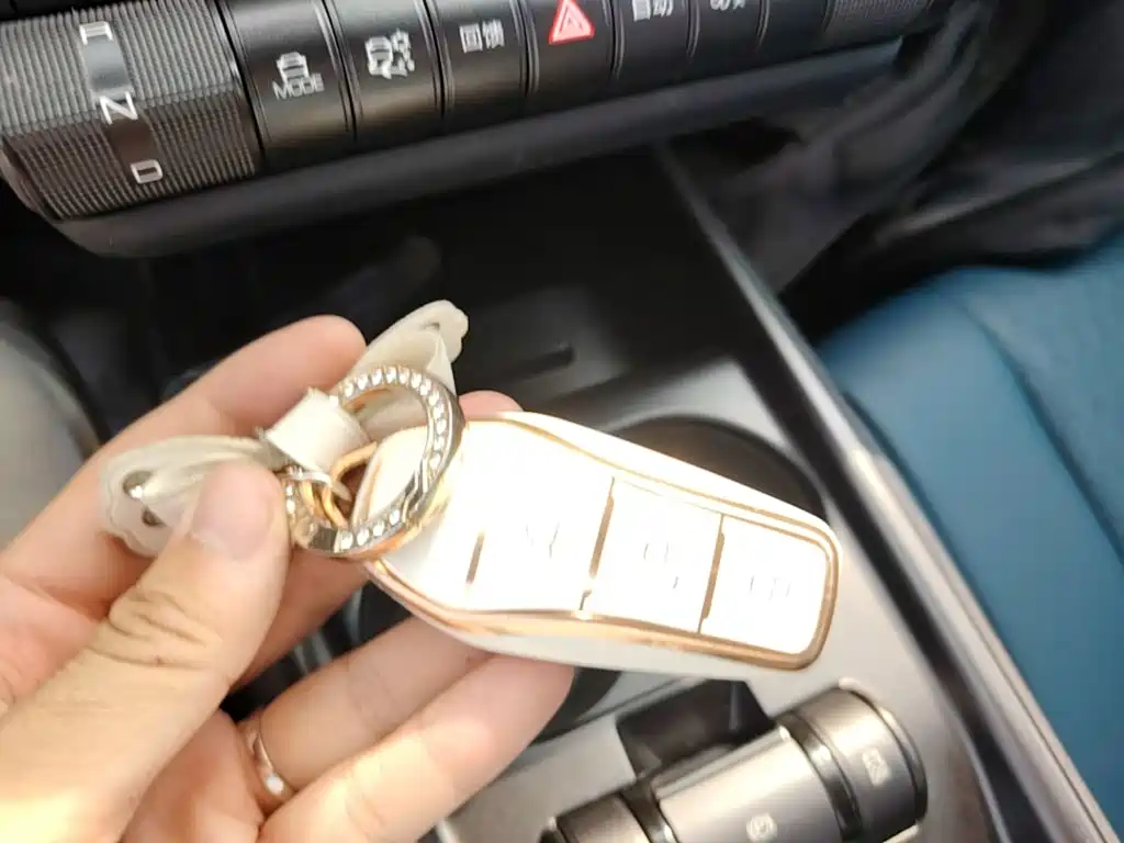 BYD Dolphin 2022 2021 401km Knight Edition