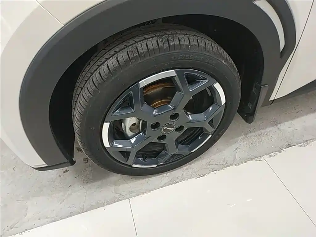 BYD Seagull 2025 305km Freedom фото 23