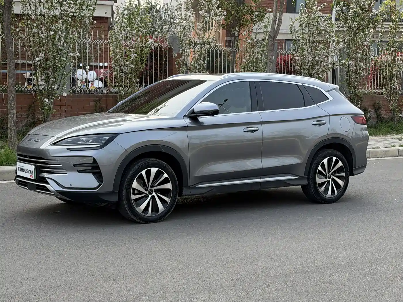 BYD SONGJIANG NEW ENERGY