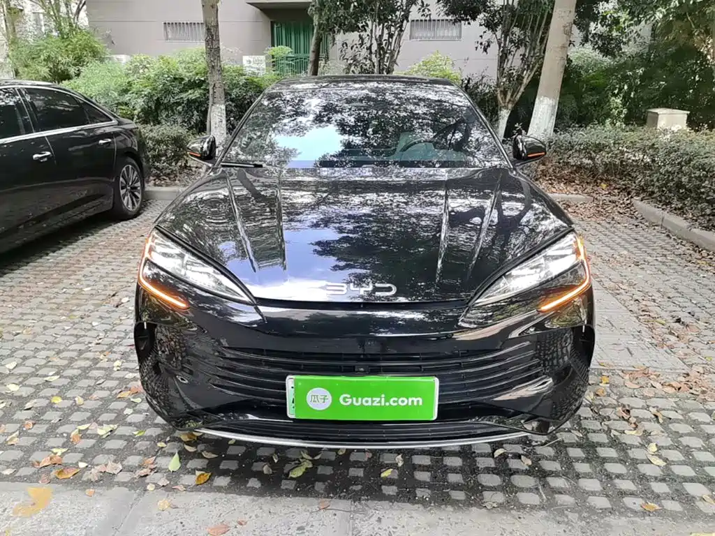 BYD Seal 2024 2023 DM-i 1.5T 121km Premium