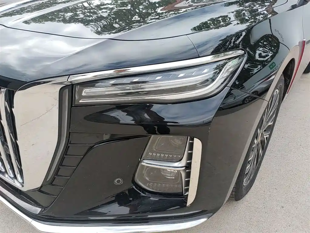Hongqi H5 2024 2.0T Automatic Smart Connect Flag Smooth Edition фото 24