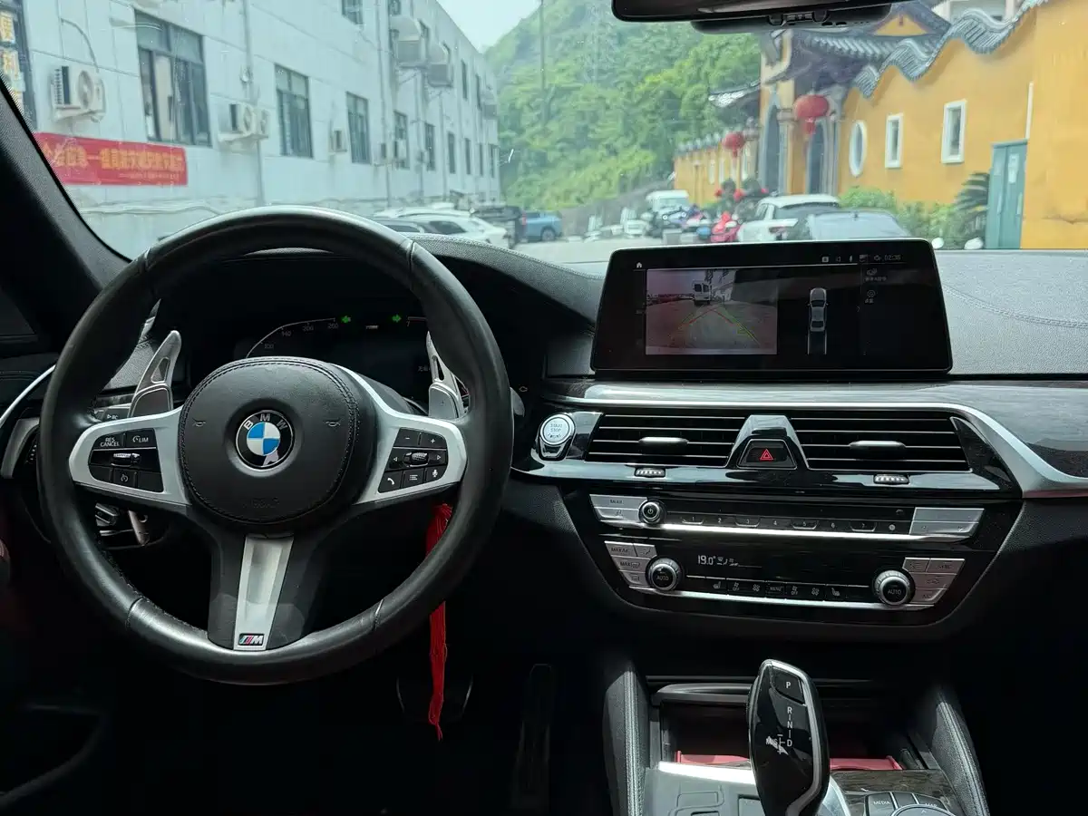 BMW 5 Series 2020 530Li Leading M Sport Package фото 6