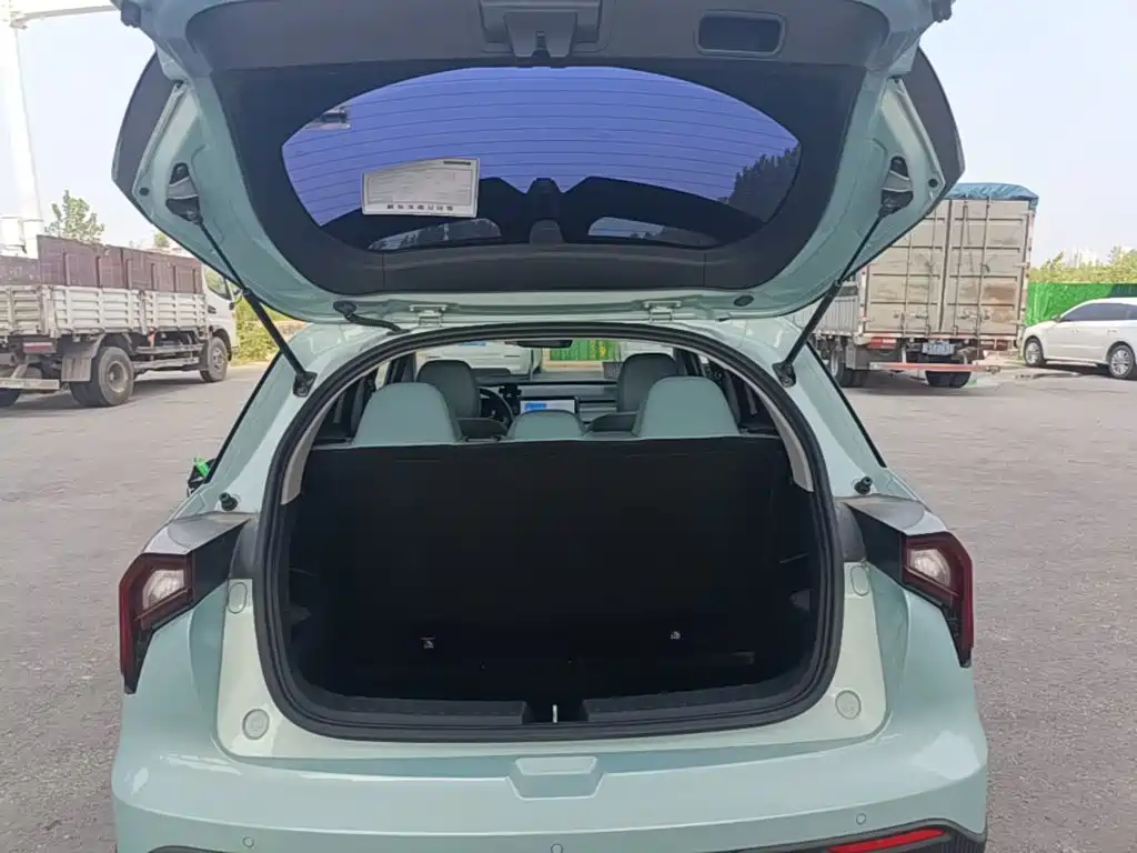 Geely Geometry E Firefly 2023 2024 Model 301km Starlight