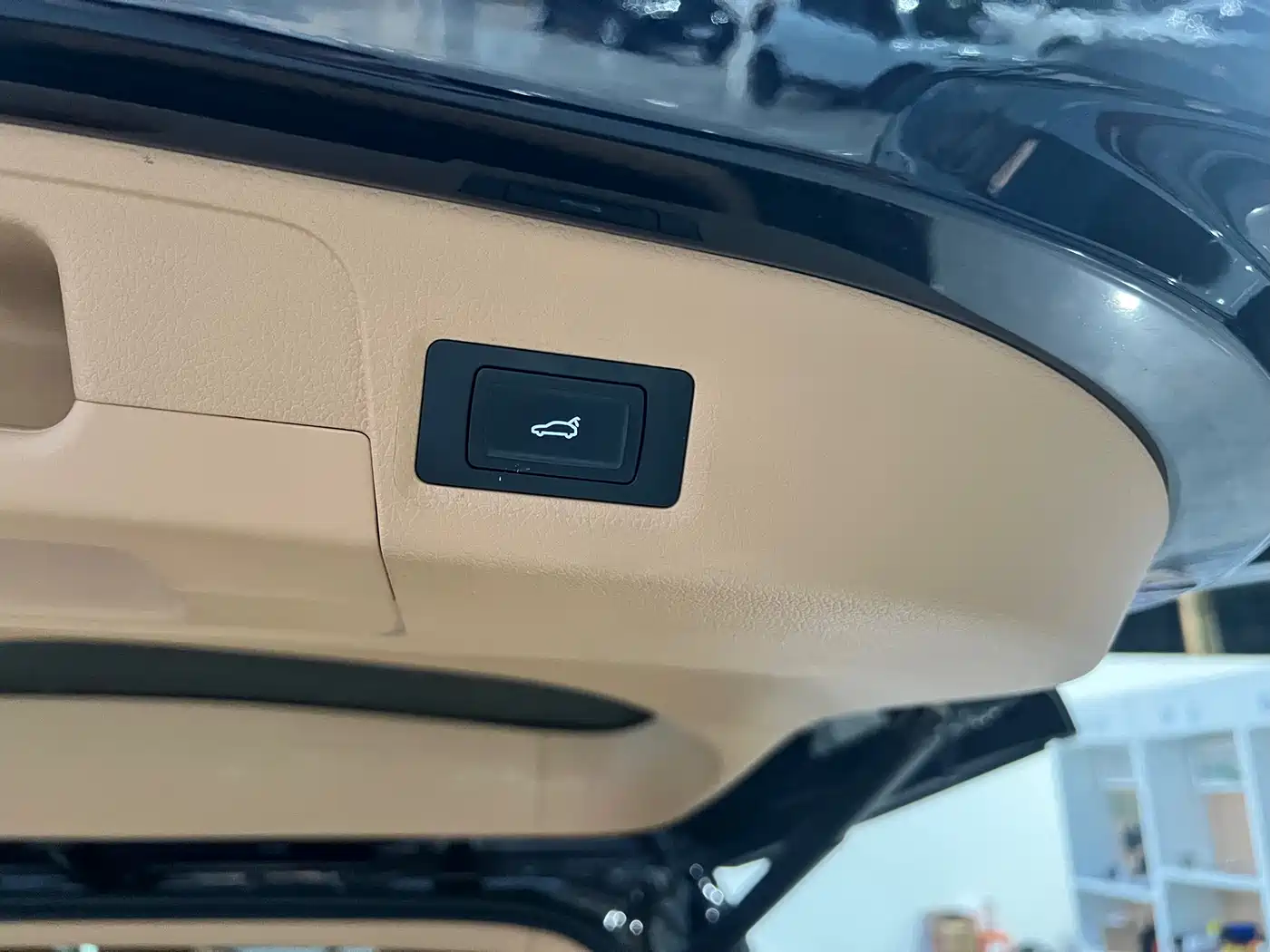 Voyah Auto Voyah Dreamer 2024 PHEV Extended Range Premium Edition фото 12