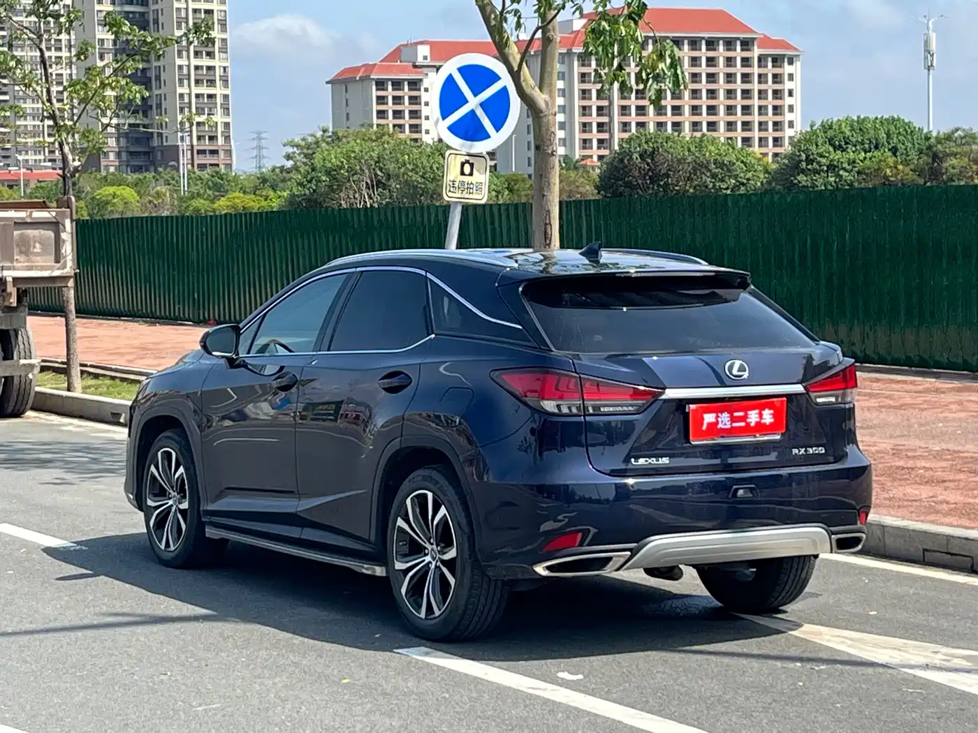 Lexus RX 2020 300 4WD Elegance Edition China VI фото 7