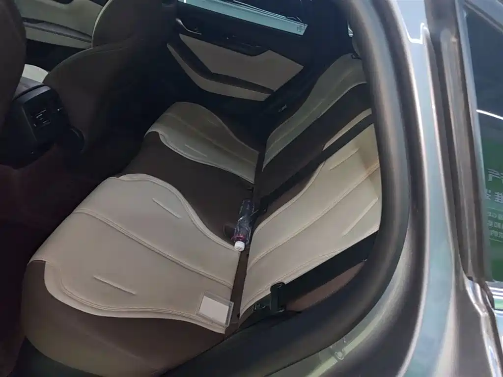 BYD Qin PLUS 2024 Glory Edition DM-i 55KM Leading фото 17