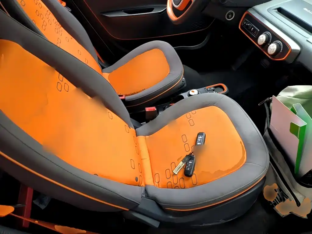 Baojun E100 2020 2019 250KM Smart Plus Edition