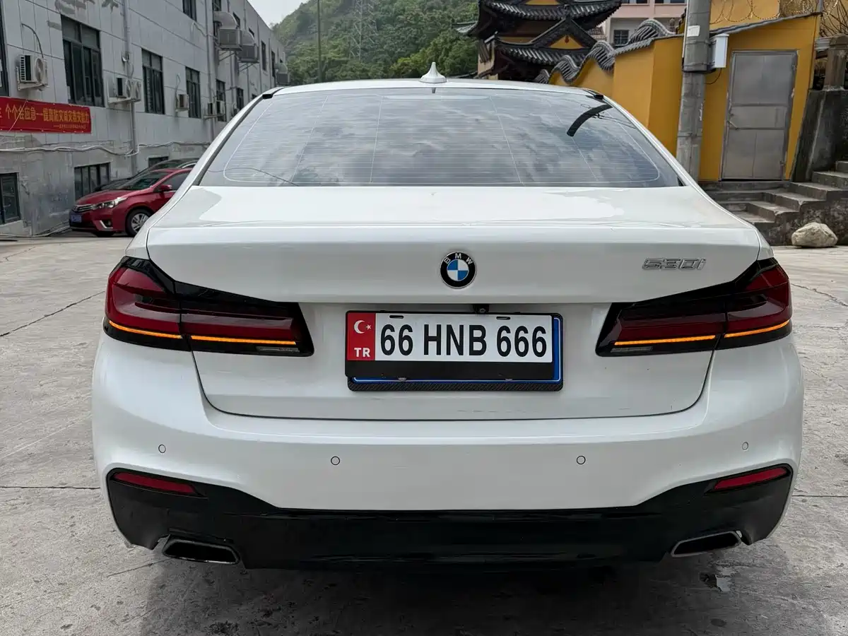 BMW 5 Series 2020 530Li Leading M Sport Package фото 9