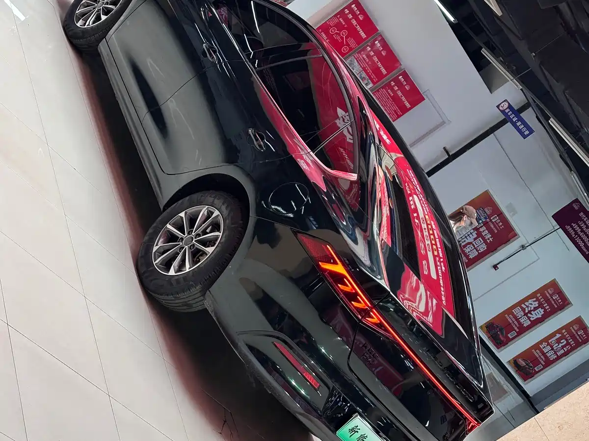 BYD Qin PLUS 2024 Glory Edition DM-i 55KM Leading фото 7