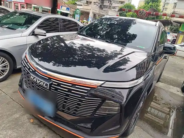  Haval Haval Shenshou 2022 1.5T Smart Leader Edition