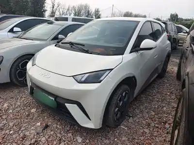 BYD Seagull