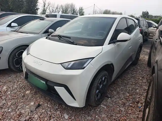 BYD Seagull Слава, 405km, Полёт