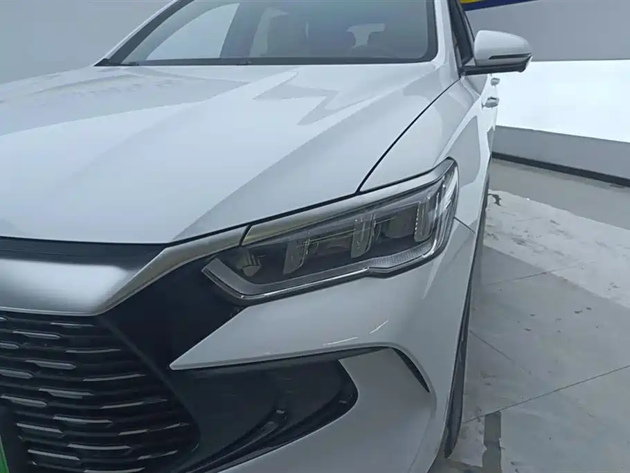 BYD Song Pro New Energy 2024 Glory Edition DM-i 71KM Pilot фото 5