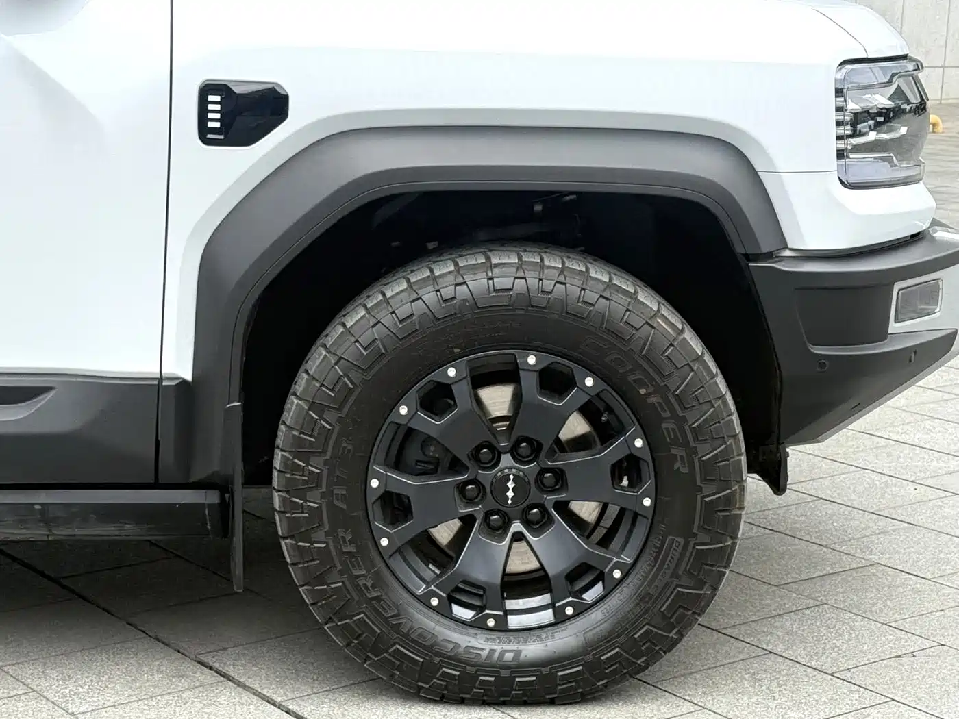 FANG CHENG BAO LEOPARD 5