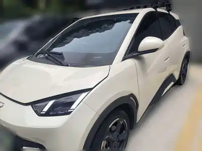 BYD Seagull