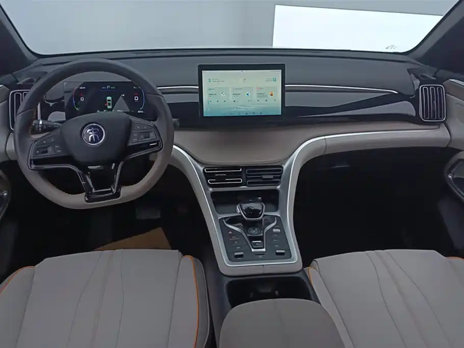 BYD Song Pro New Energy 2024 Glory Edition DM-i 71KM Pilot фото 12