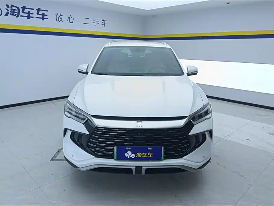 BYD Song Pro New Energy 2024 Glory Edition DM-i 71KM Pilot фото 2