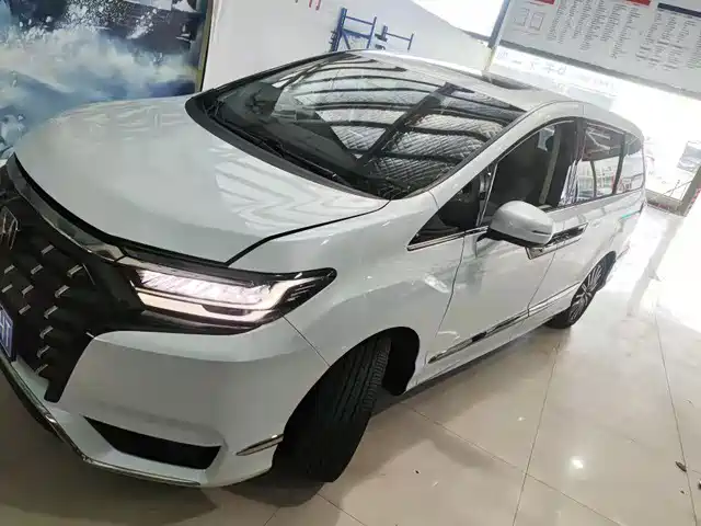 Honda Elysion 2.0L e:HEV, Люкс