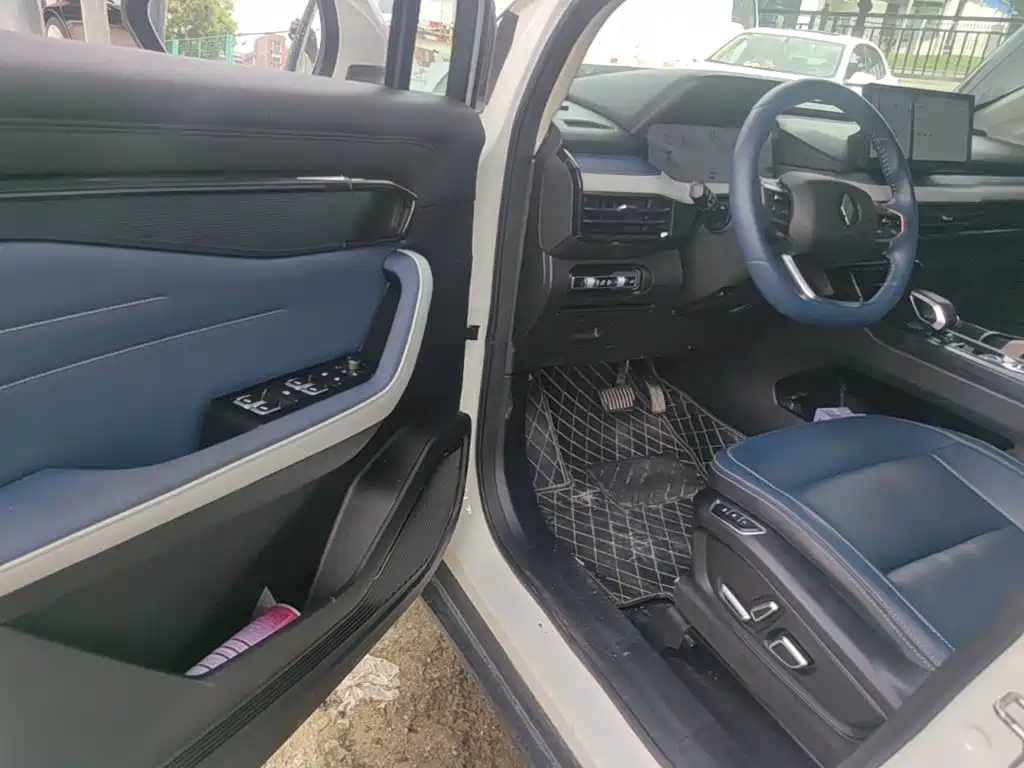 Ruilan Auto Ruilan 9 2024 2023 470km Executive Version
