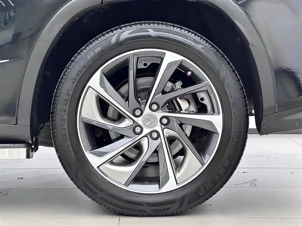 Фото 17 - Lexus RX