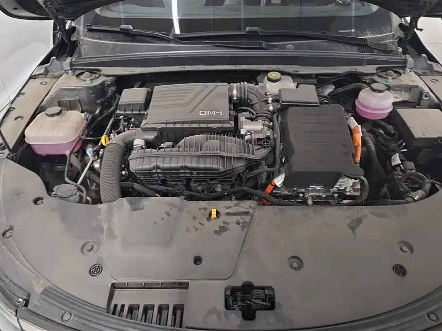 BYD Destroyer 05 2024 Glory Edition DM-i 55KM Luxury фото 10