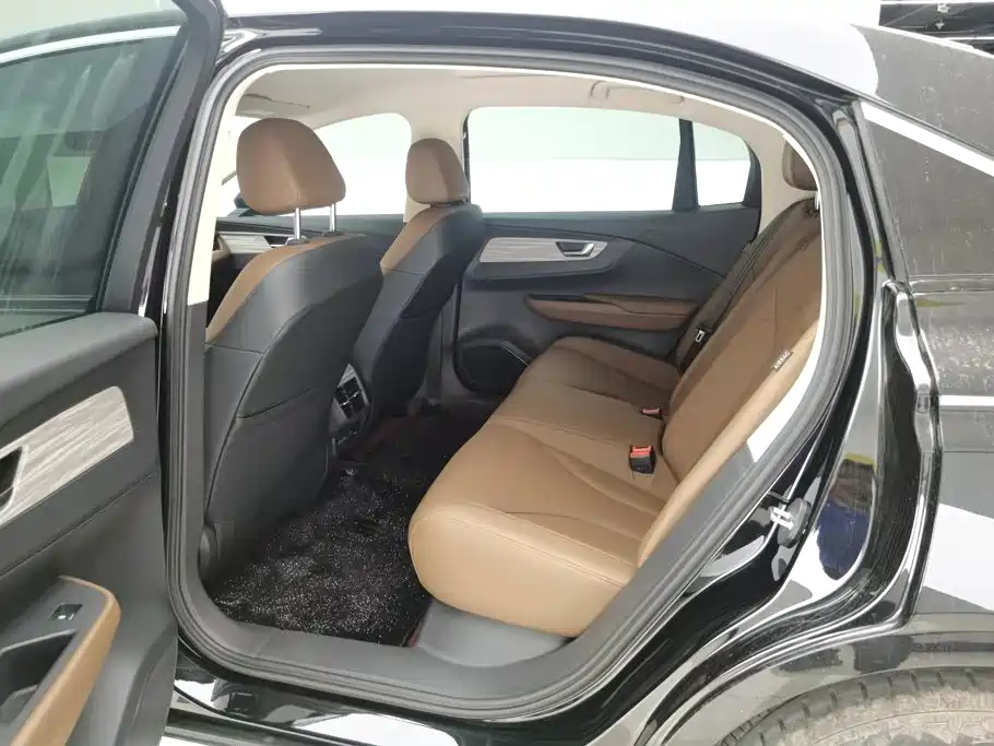 Hongqi E-QM5 2024 2024 Model 610km PLUS