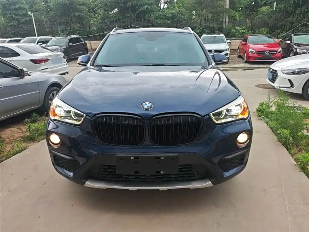 BMW X1 2018 sDrive20Li Leading Model фото 3