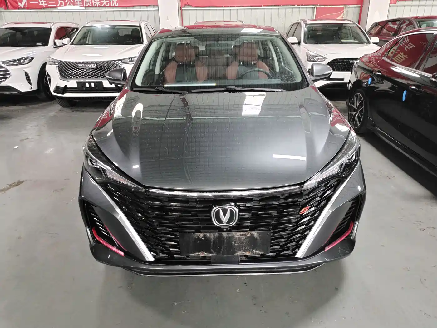 Фото 2 - Changan Eado
