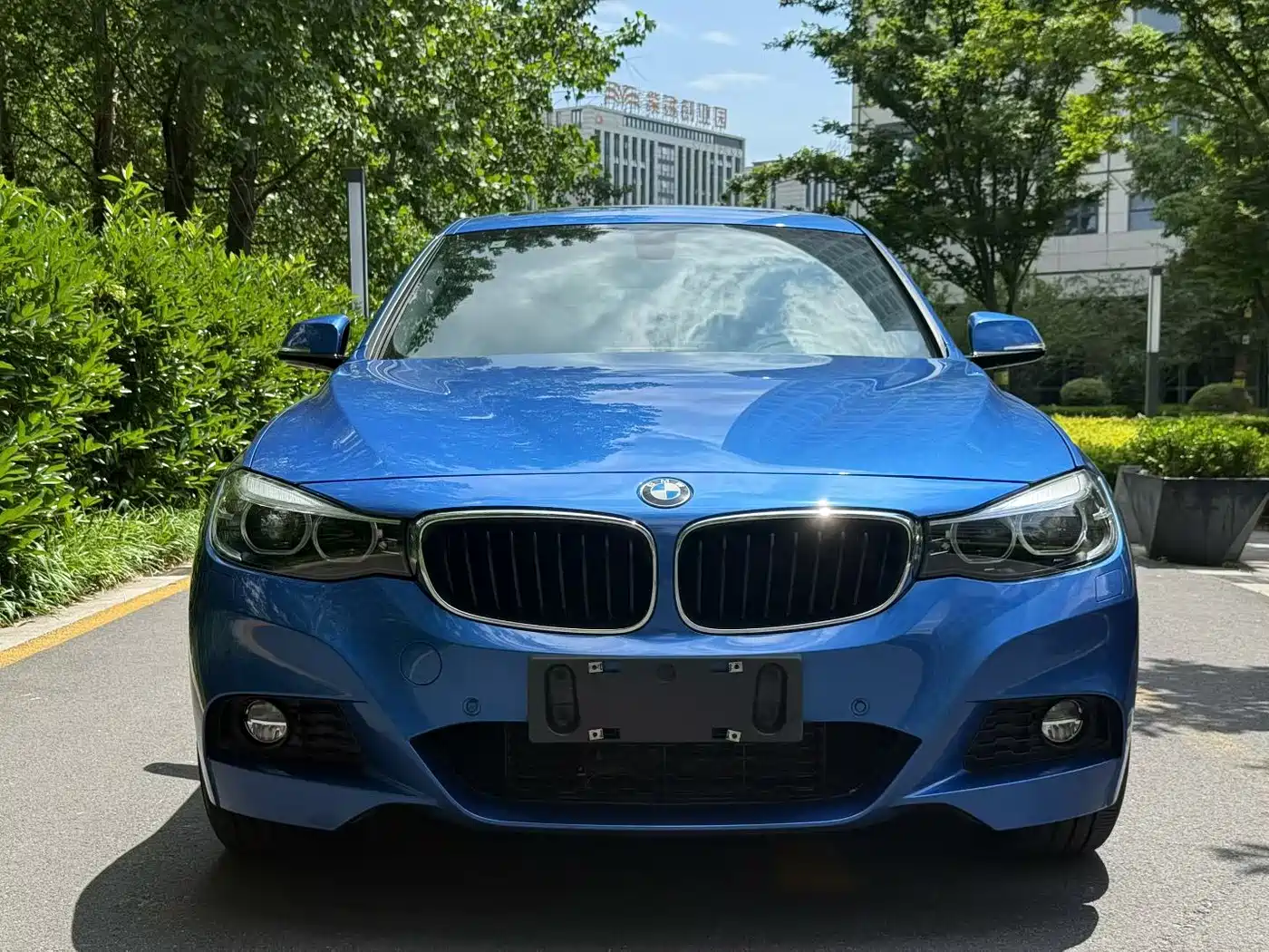 BMW 3 Series GT 2017 330i xDrive M Sport фото 2
