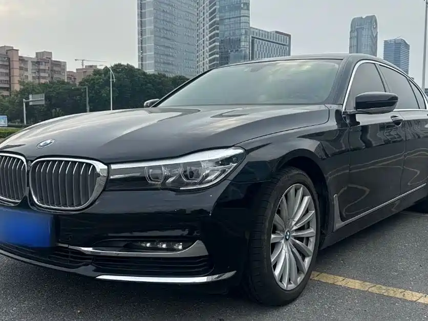 BMW 7 Series 2018 730Li Leading Type Excellence Package