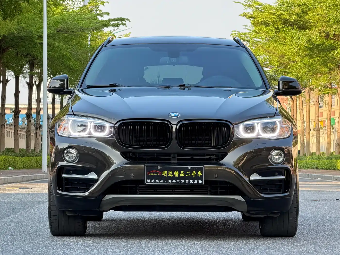 BMW X6 2015 xDrive35i Luxury Model фото 2