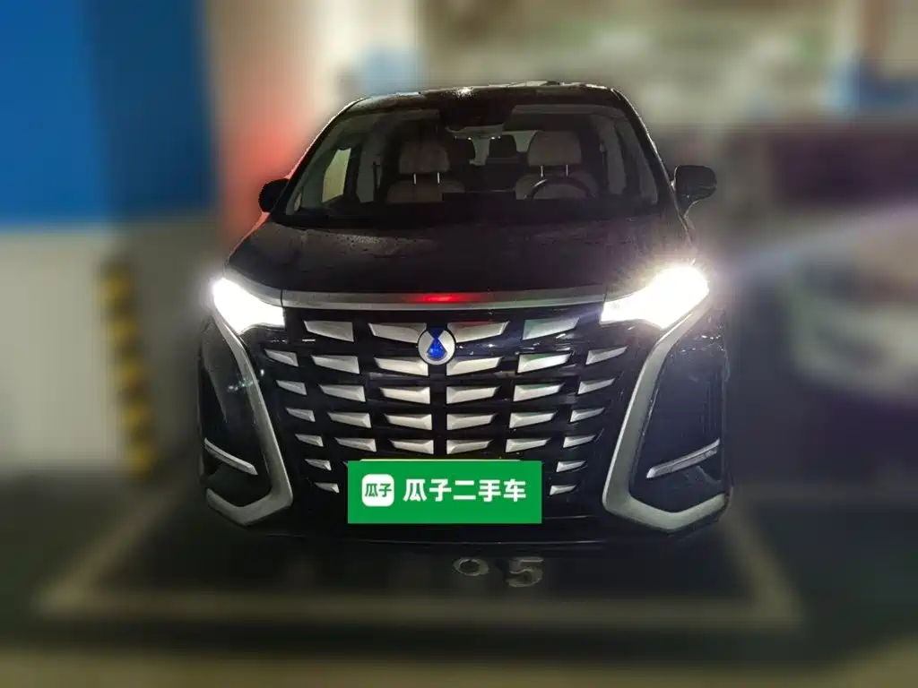 Фото 3 - Denza D9