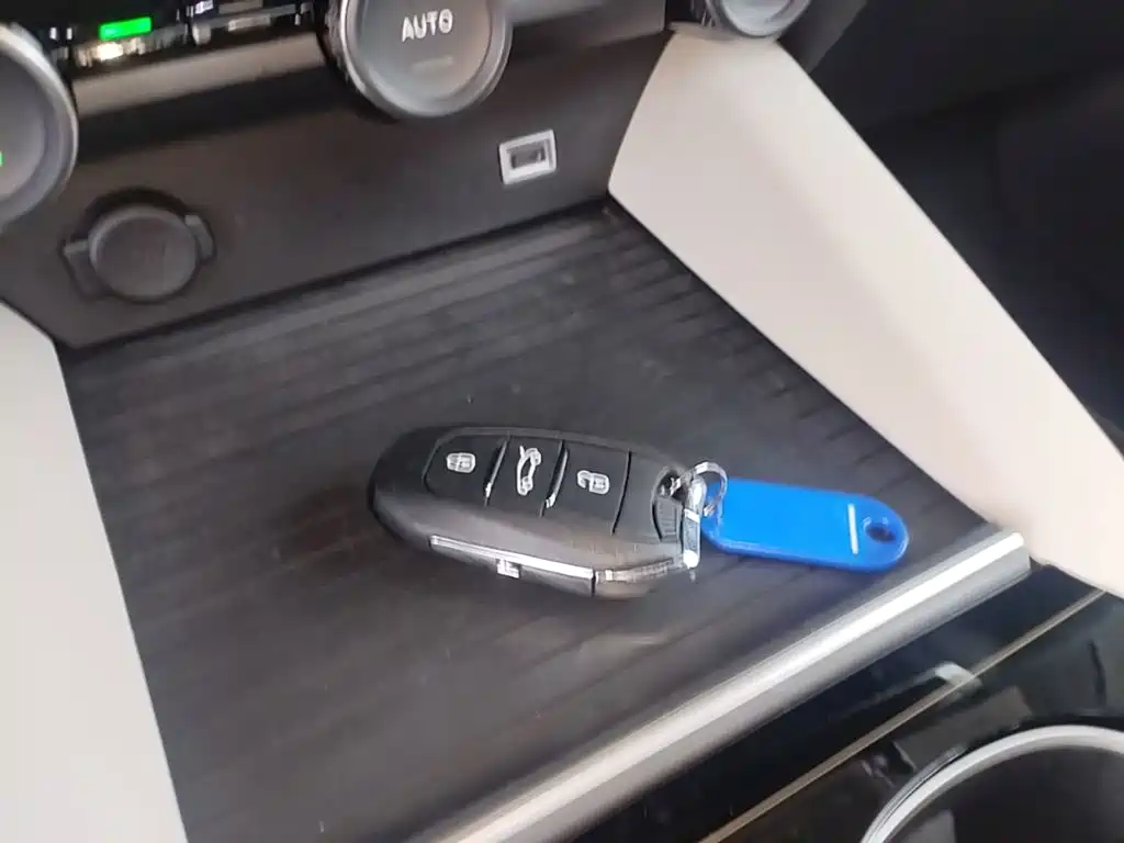 Фото 9 - Citroën Versailles C5 X