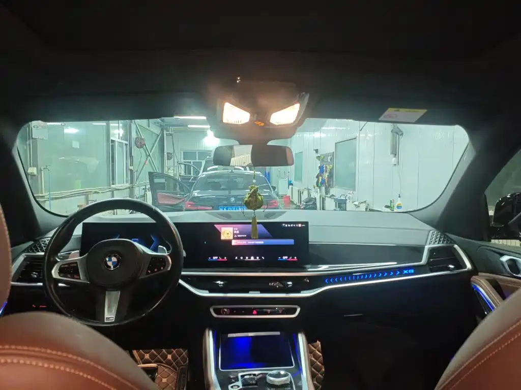 2024 BMW X6