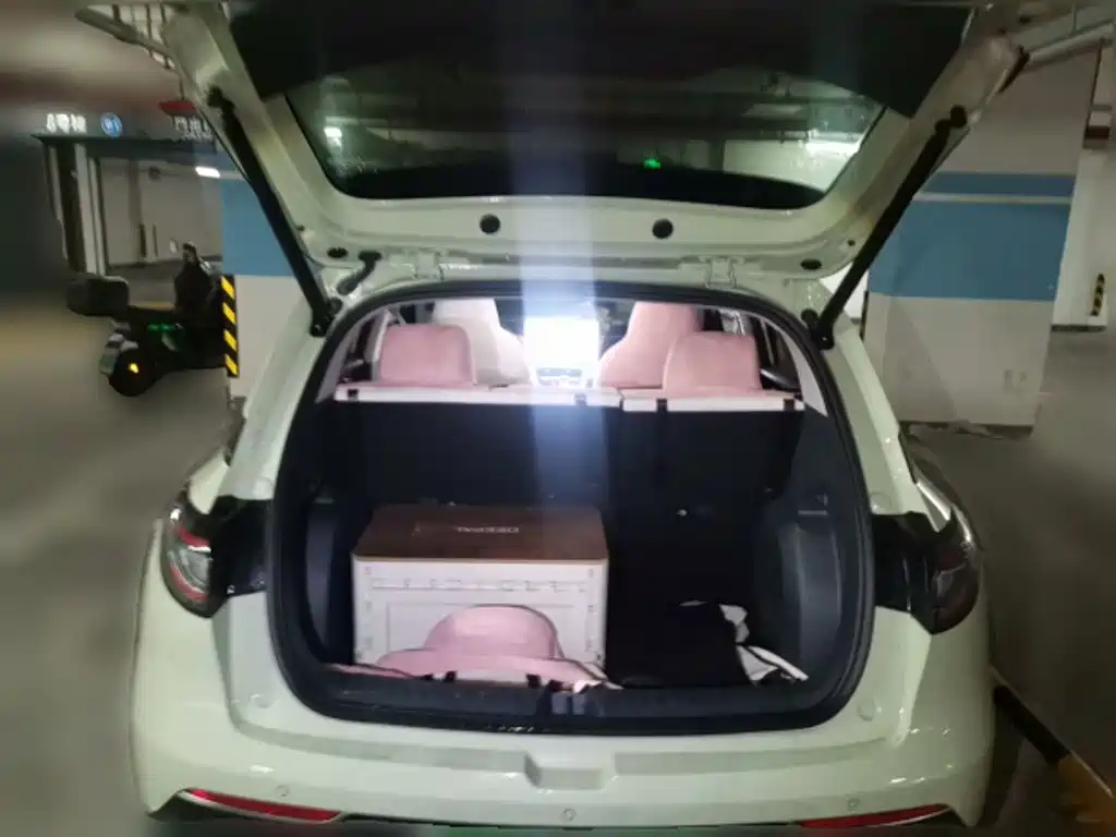 Geely Galaxy Starry Wish 2026 2026 Model 310km Dream Edition