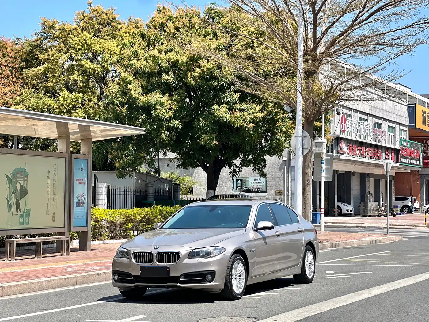 BMW 5 Series 2014 525Li Leading