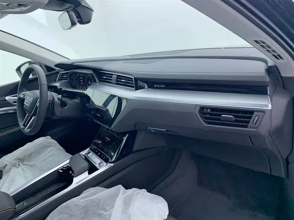 Audi e-tron 2021 50 quattro Luxury фото 17