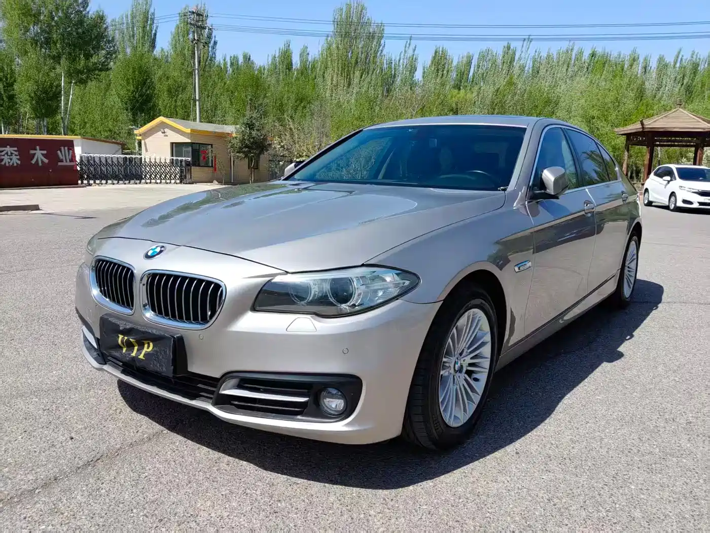 BMW 5 Series 2014 525Li Leading