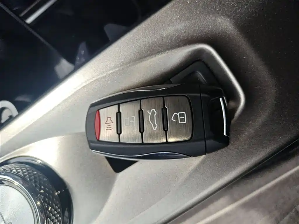 Haval Big Dog 2022 1.5T DCT FWD Labrador Edition фото 9