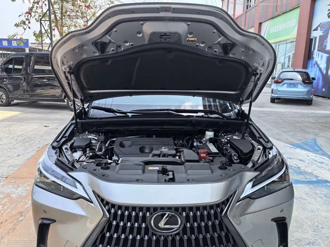 LEXUS NX