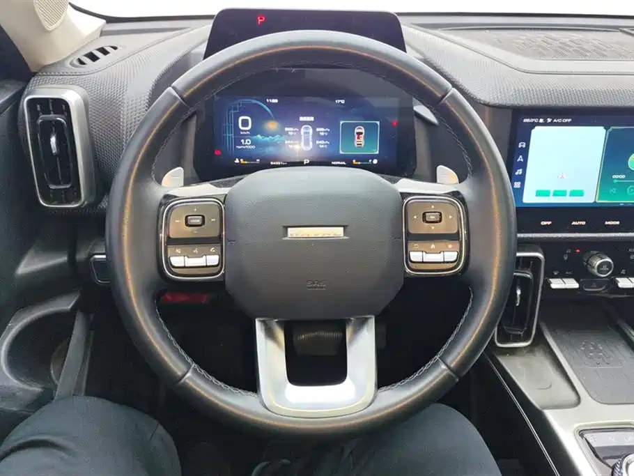 Haval Big Dog 2021 1.5T DCT 2WD Labrador Edition фото 15